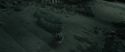 RdM2-Potterish_12045.jpg