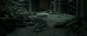 RdM2-Potterish_12076.jpg