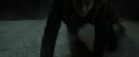 RdM2-Potterish_12159.jpg