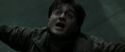 RdM2-Potterish_12167.jpg