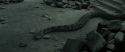 RdM2-Potterish_12184.jpg