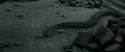 RdM2-Potterish_12185.jpg