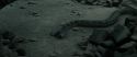 RdM2-Potterish_12186.jpg