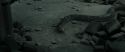 RdM2-Potterish_12187.jpg