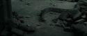 RdM2-Potterish_12188.jpg
