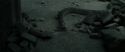 RdM2-Potterish_12189.jpg