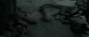 RdM2-Potterish_12190.jpg
