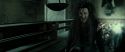 RdM2-Potterish_12242.jpg