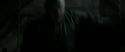 RdM2-Potterish_12293.jpg