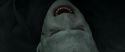 RdM2-Potterish_12338.jpg