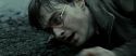 RdM2-Potterish_12410.jpg
