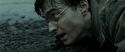 RdM2-Potterish_12412.jpg