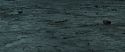 RdM2-Potterish_12417.jpg