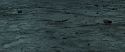RdM2-Potterish_12418.jpg