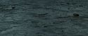 RdM2-Potterish_12419.jpg