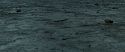 RdM2-Potterish_12420.jpg