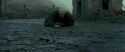 RdM2-Potterish_12421.jpg