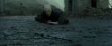 RdM2-Potterish_12423.jpg