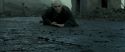 RdM2-Potterish_12424.jpg