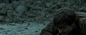 RdM2-Potterish_12428.jpg