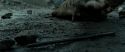 RdM2-Potterish_12432.jpg