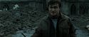 RdM2-Potterish_12440.jpg