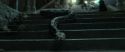 RdM2-Potterish_12460.jpg