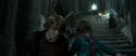 RdM2-Potterish_12464.jpg