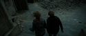 RdM2-Potterish_12467.jpg