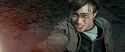 RdM2-Potterish_12483.jpg