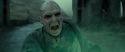 RdM2-Potterish_12508.jpg