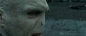 RdM2-Potterish_12529.jpg