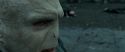 RdM2-Potterish_12530.jpg