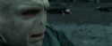 RdM2-Potterish_12531.jpg
