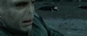 RdM2-Potterish_12532.jpg