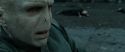 RdM2-Potterish_12533.jpg
