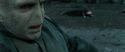 RdM2-Potterish_12534.jpg
