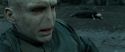RdM2-Potterish_12536.jpg