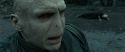 RdM2-Potterish_12538.jpg
