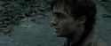 RdM2-Potterish_12540.jpg