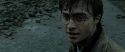 RdM2-Potterish_12542.jpg