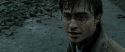RdM2-Potterish_12543.jpg
