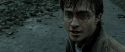 RdM2-Potterish_12544.jpg