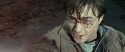 RdM2-Potterish_12556.jpg