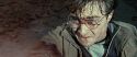 RdM2-Potterish_12557.jpg