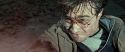 RdM2-Potterish_12558.jpg
