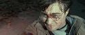 RdM2-Potterish_12559.jpg