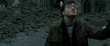 RdM2-Potterish_12596.jpg