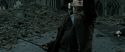 RdM2-Potterish_12598.jpg