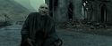 RdM2-Potterish_12607.jpg